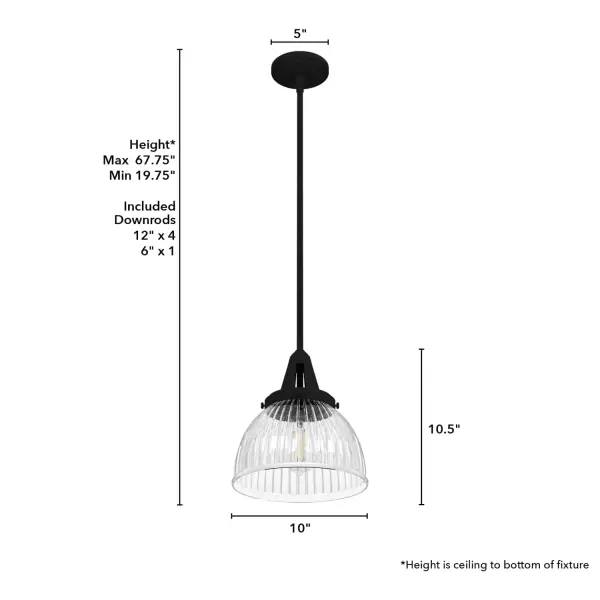 Cypress Grove One Light Pendant in Natural Black Iron - Image 10