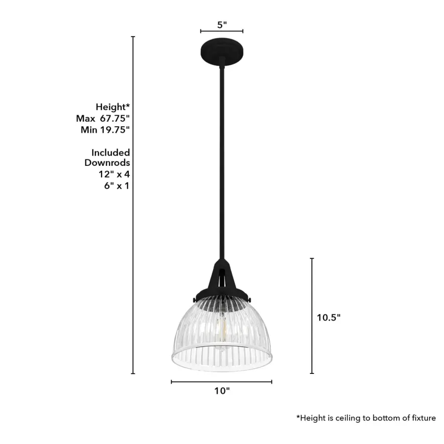 Cypress Grove One Light Pendant in Natural Black Iron - Image 10
