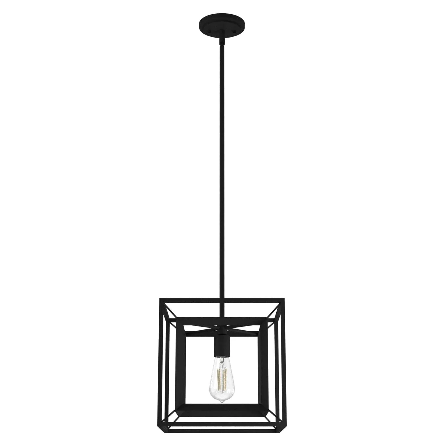 Doherty One Light Pendant in Natural Black Iron