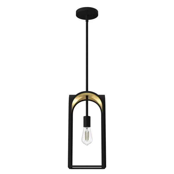 Dukestown One Light Pendant in Natural Black Iron - Image 12