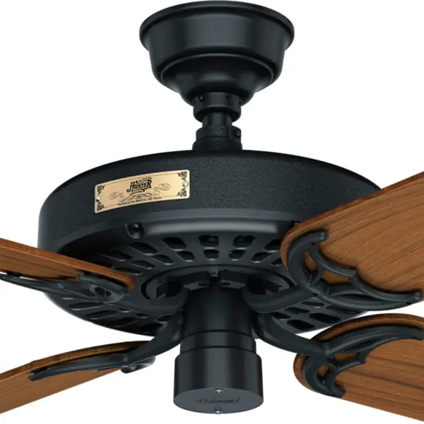 The Ceiling Fans by Hunter - Image 13