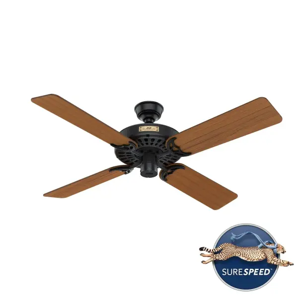 The Ceiling Fans by Hunter - Image 15