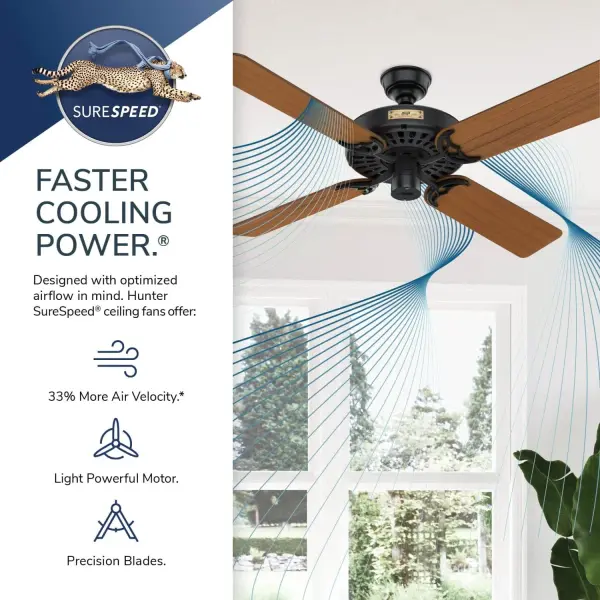 The Ceiling Fans by Hunter - Image 16