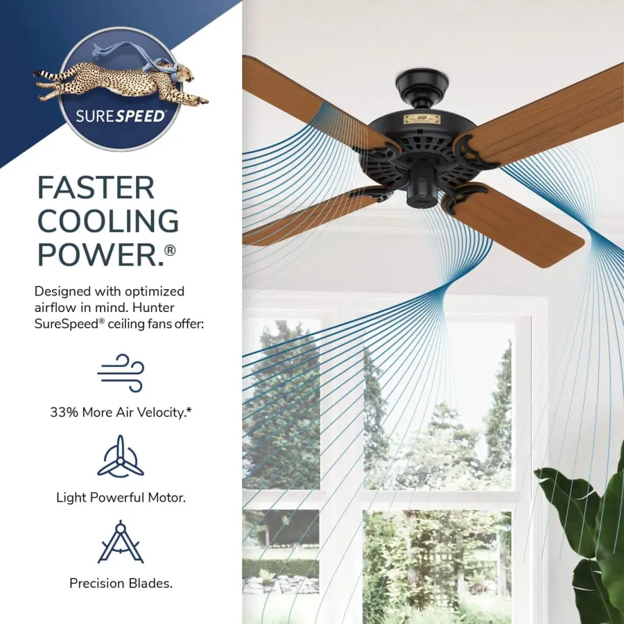 The Ceiling Fans by Hunter - Image 16