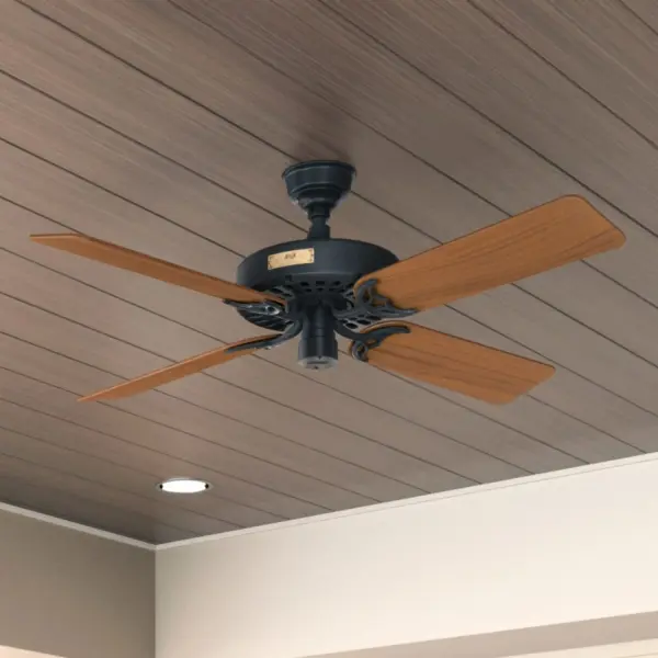 The Ceiling Fans by Hunter - Image 5