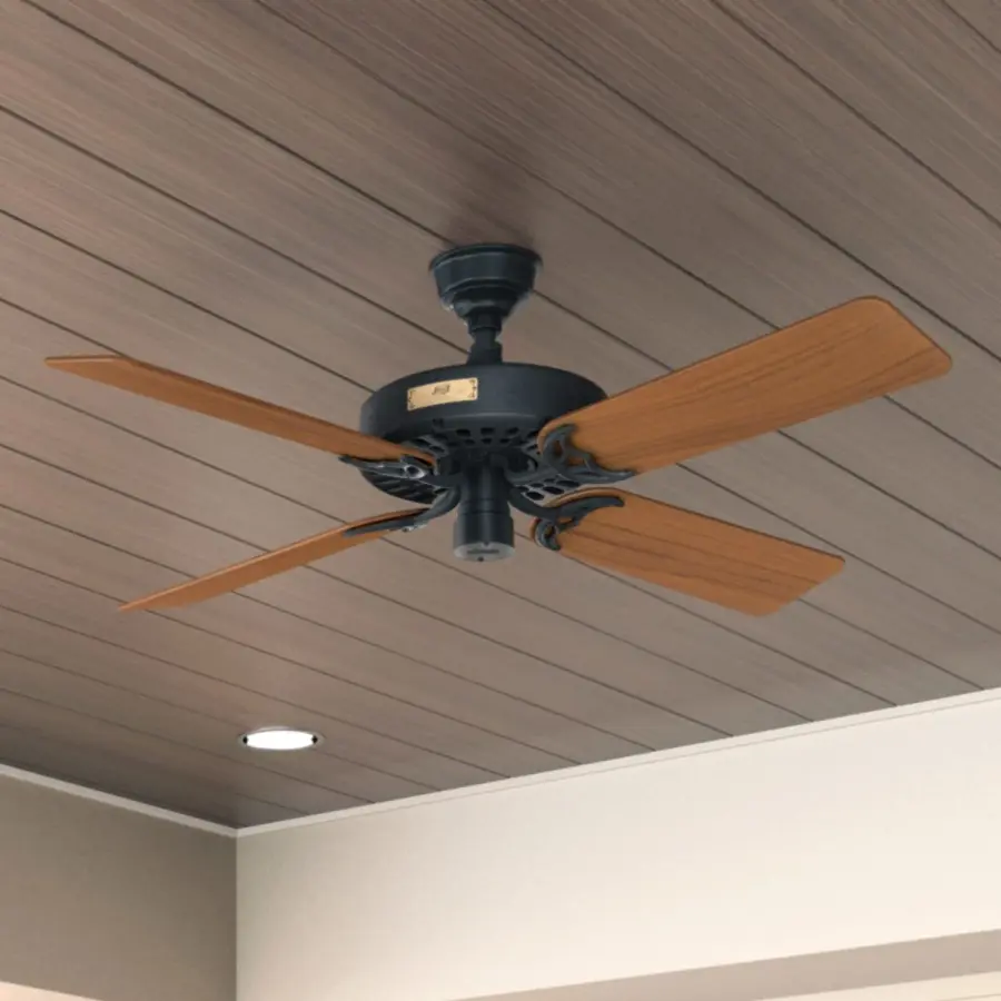 The Ceiling Fans by Hunter - Image 5