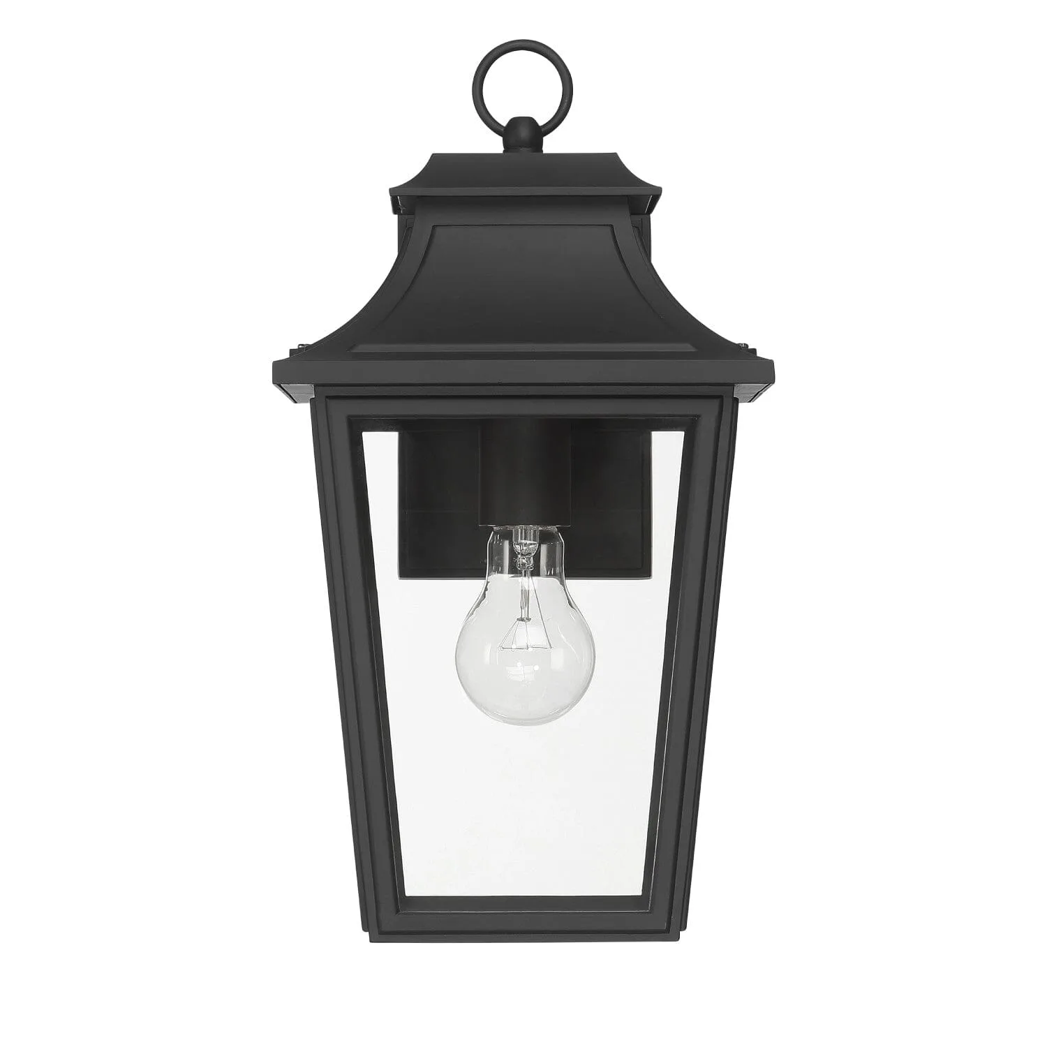Spring Cove Outdoor Wall Light in Matte Black