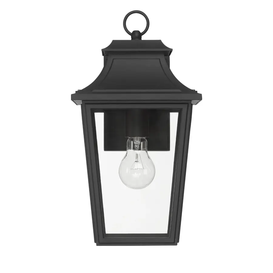 Spring Cove Outdoor Wall Light in Matte Black - Image 1