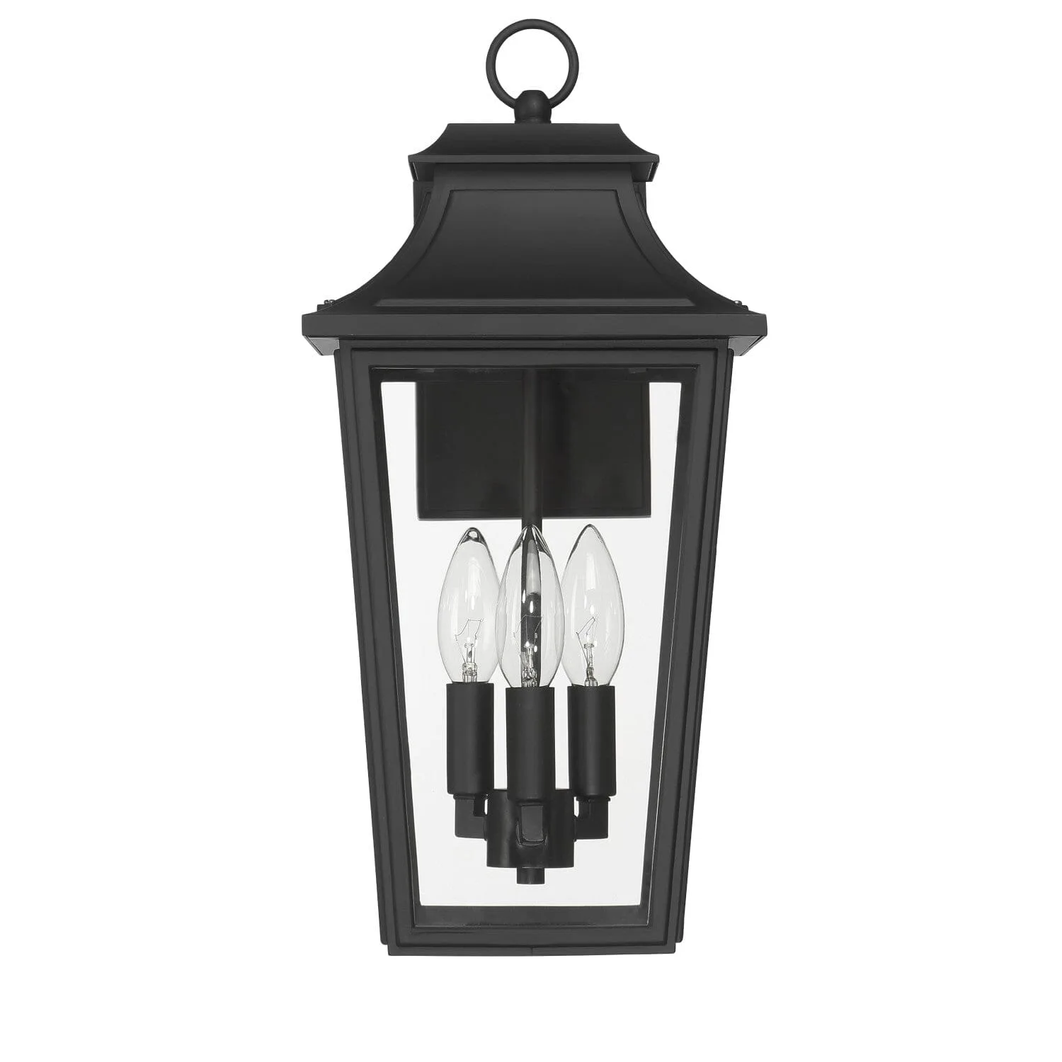Spring Cove Three Light Outdoor Wall Mount in Matte Black