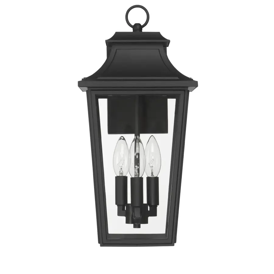Spring Cove Three Light Outdoor Wall Mount in Matte Black - Image 1