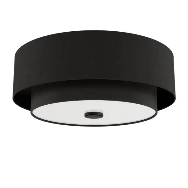 Brookside Two Light Flush Mount in Matte Black - Image 13