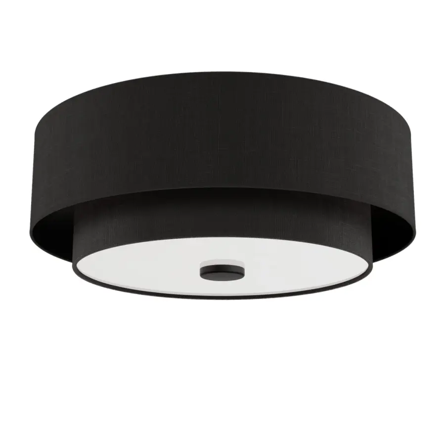 Brookside Two Light Flush Mount in Matte Black - Image 13