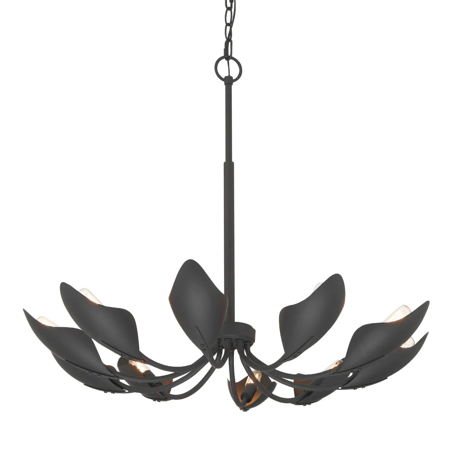 Juneway 10-Light Chandelier in Matte Black