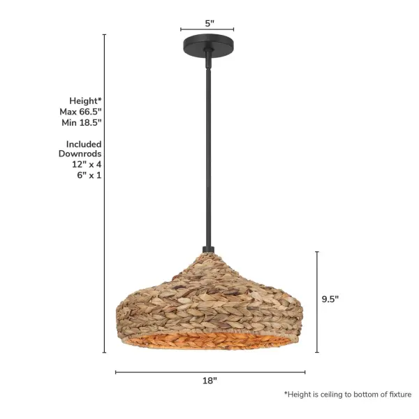 Cambria One Light Pendant in Matte Black - Image 4