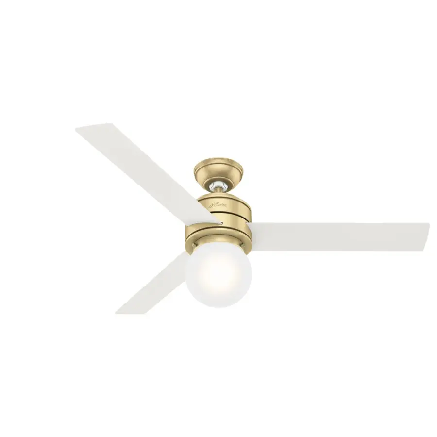 The Ceiling Fans by Hunter - Image 1