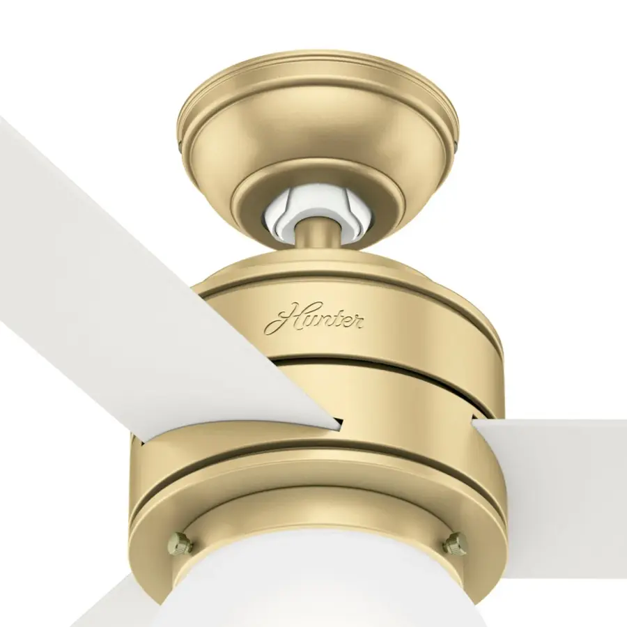 The Ceiling Fans by Hunter - Image 11