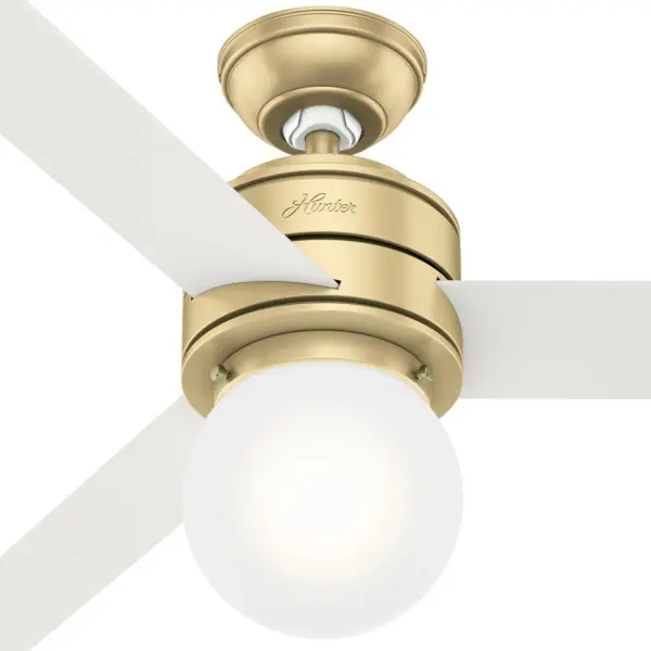 The Ceiling Fans by Hunter - Image 12