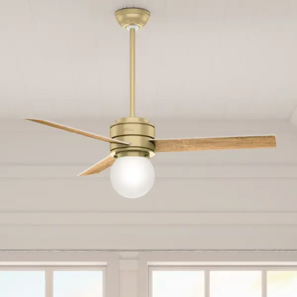 The Ceiling Fans by Hunter - Image 3