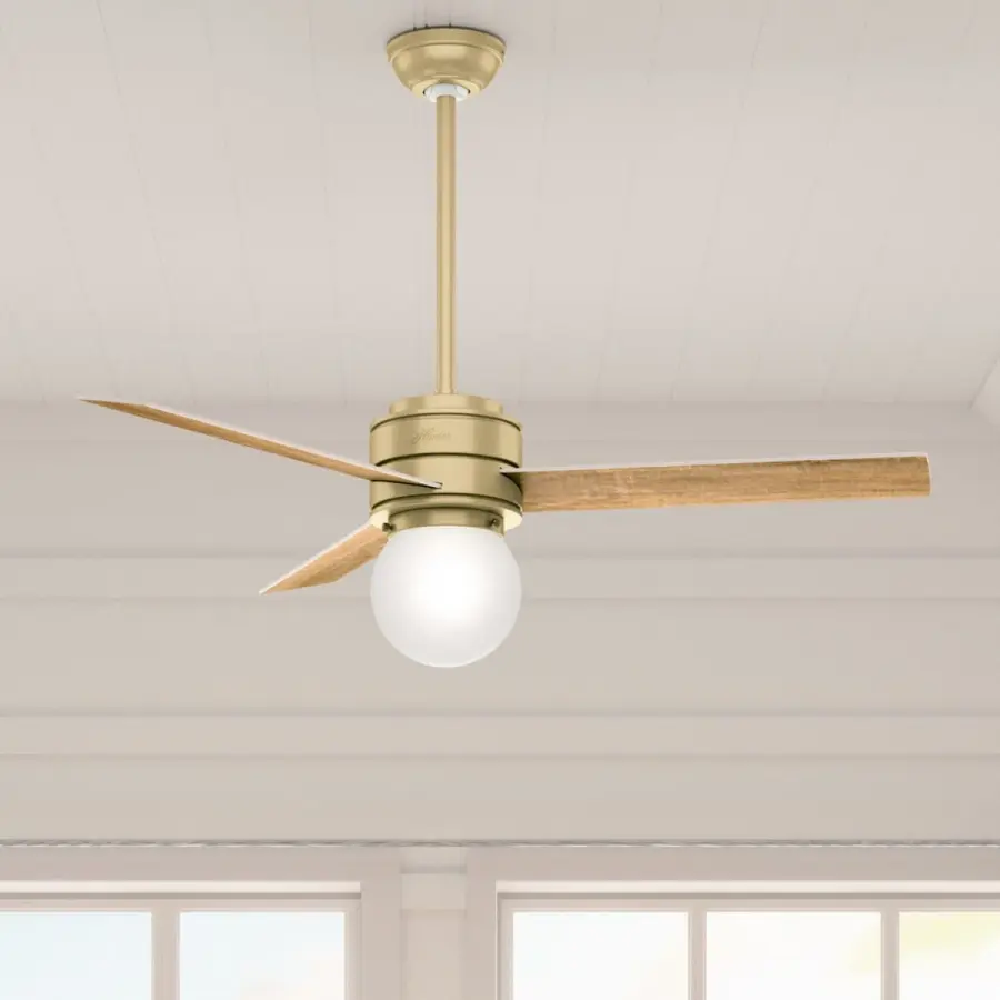 The Ceiling Fans by Hunter - Image 3