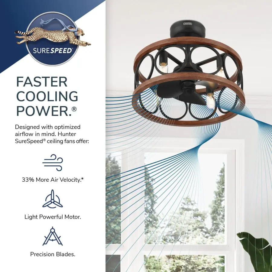 The Ceiling Fans by Hunter - Image 30