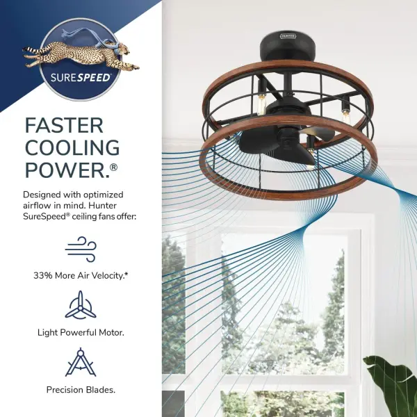 The Ceiling Fans by Hunter - Image 29