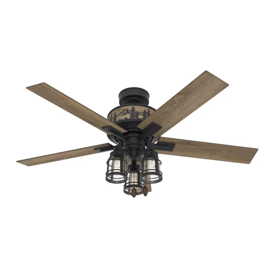 The Ceiling Fans by Hunter - Image 1