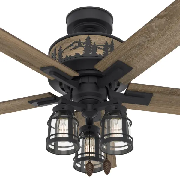The Ceiling Fans by Hunter - Image 11
