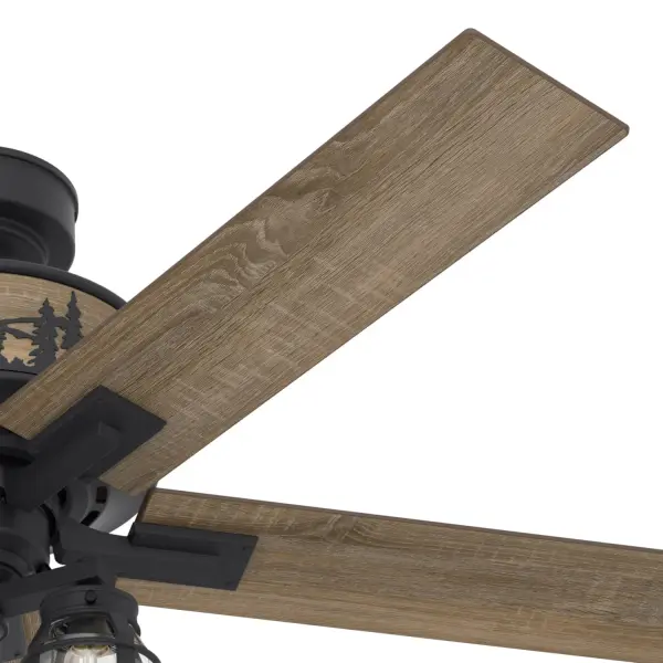 The Ceiling Fans by Hunter - Image 12