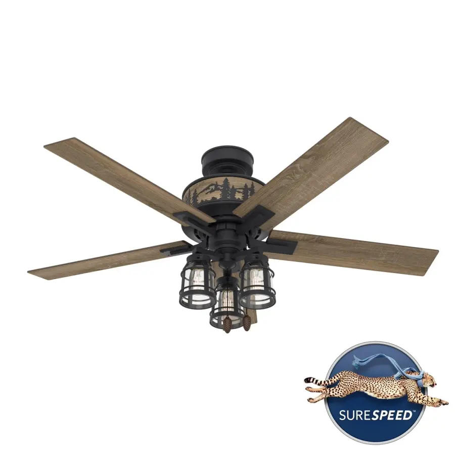 The Ceiling Fans by Hunter - Image 13