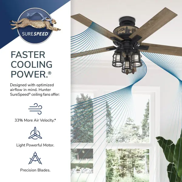 The Ceiling Fans by Hunter - Image 14