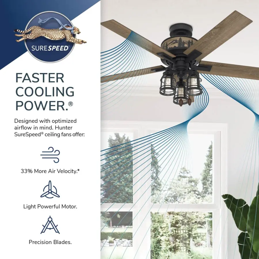 The Ceiling Fans by Hunter - Image 14