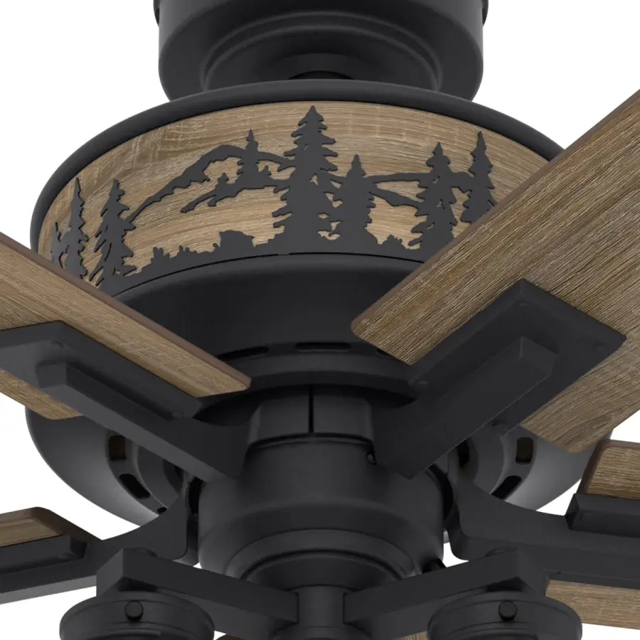 The Ceiling Fans by Hunter - Image 10