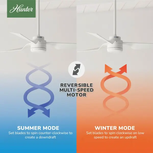The Ceiling Fans by Hunter - Image 13