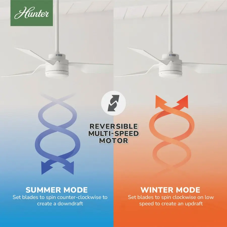The Ceiling Fans by Hunter - Image 13