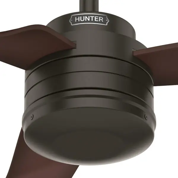 The Ceiling Fans by Hunter - Image 24