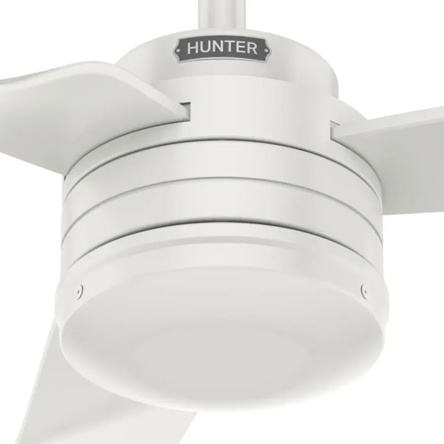 The Ceiling Fans by Hunter - Image 25