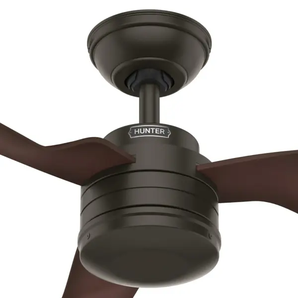 The Ceiling Fans by Hunter - Image 26