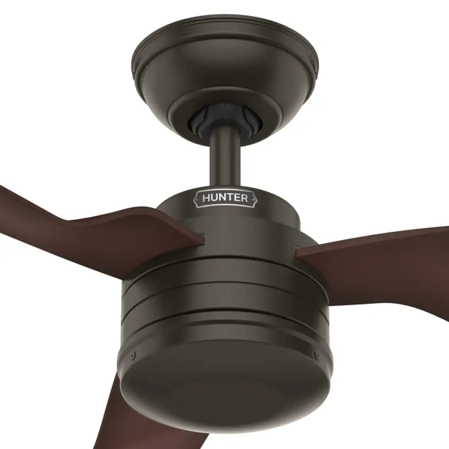 The Ceiling Fans by Hunter - Image 26