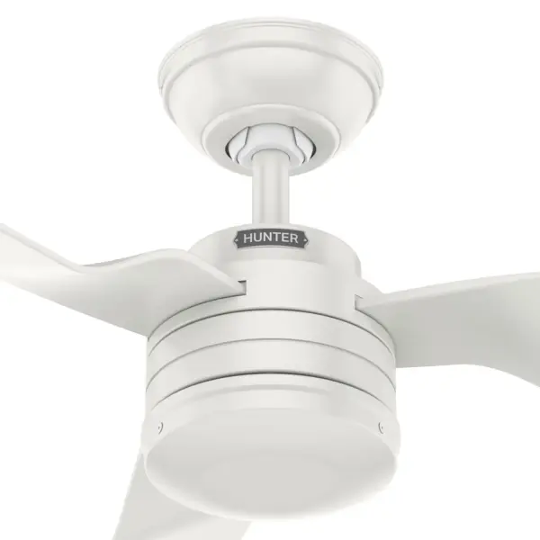 The Ceiling Fans by Hunter - Image 27
