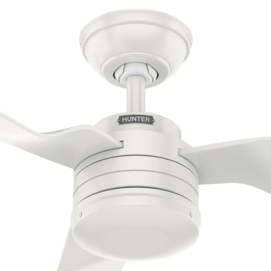 The Ceiling Fans by Hunter - Image 27
