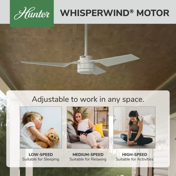 The Ceiling Fans by Hunter - Image 31