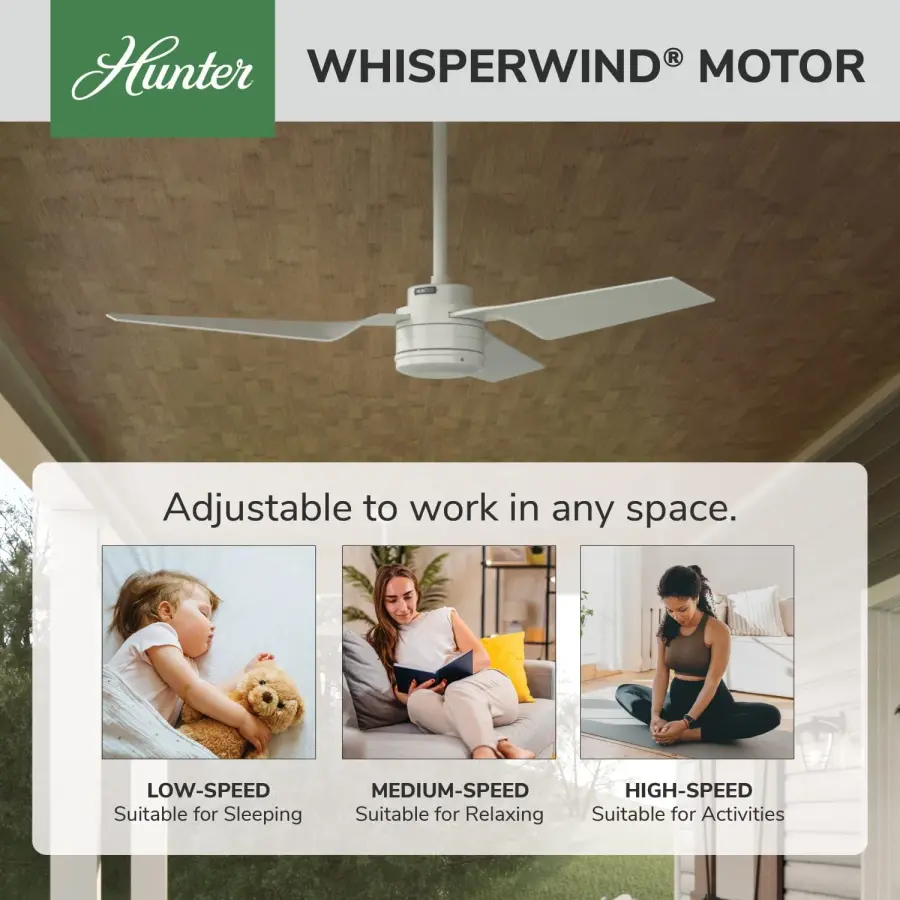 The Ceiling Fans by Hunter - Image 31