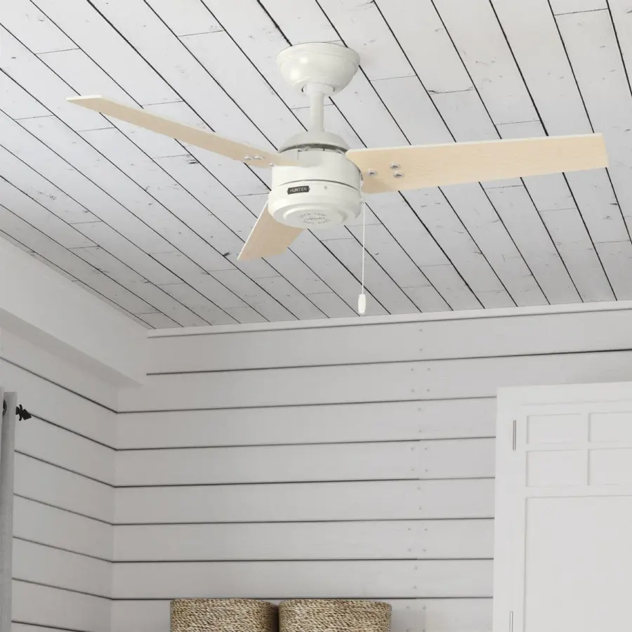 The Ceiling Fans by Hunter - Image 13