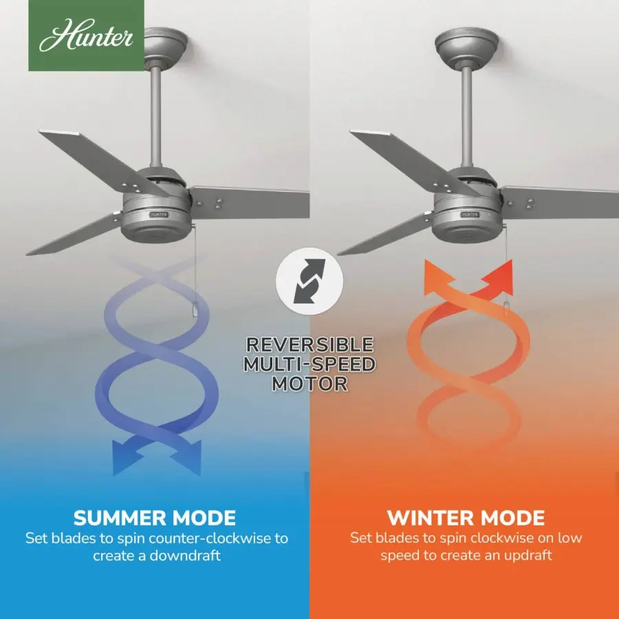 The Ceiling Fans by Hunter - Image 21