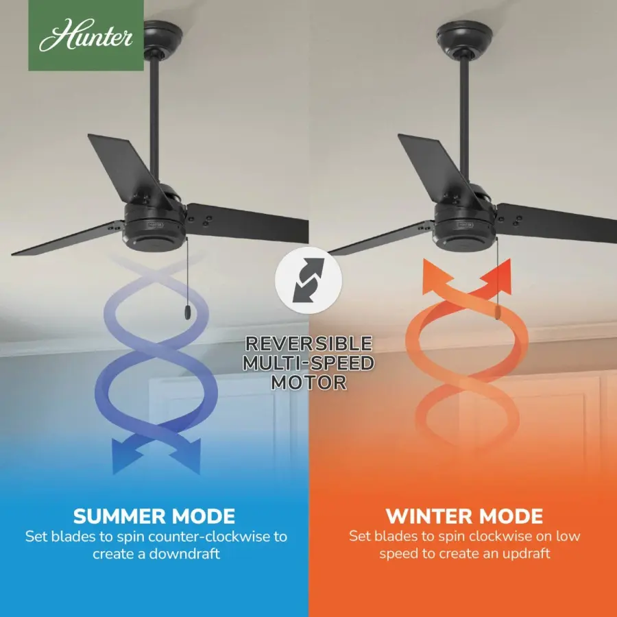 The Ceiling Fans by Hunter - Image 22