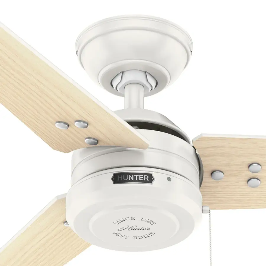 The Ceiling Fans by Hunter - Image 38