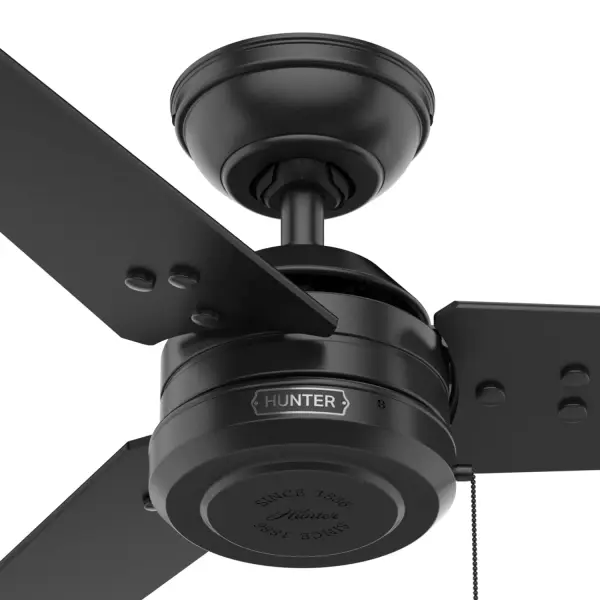 The Ceiling Fans by Hunter - Image 40