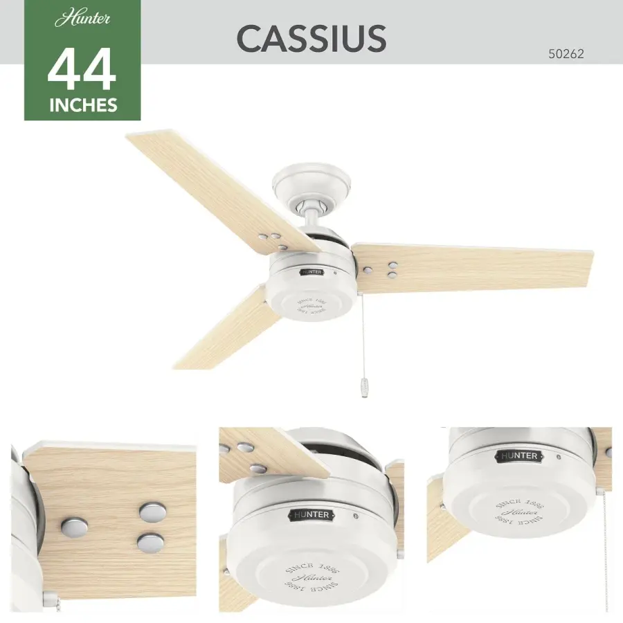 The Ceiling Fans by Hunter - Image 7