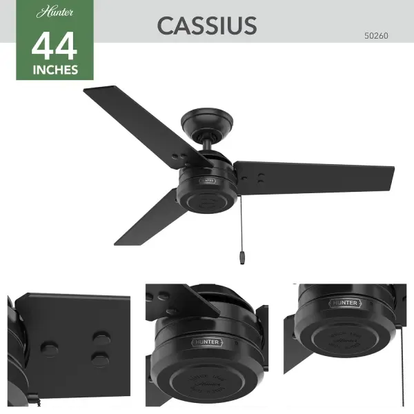 The Ceiling Fans by Hunter - Image 9