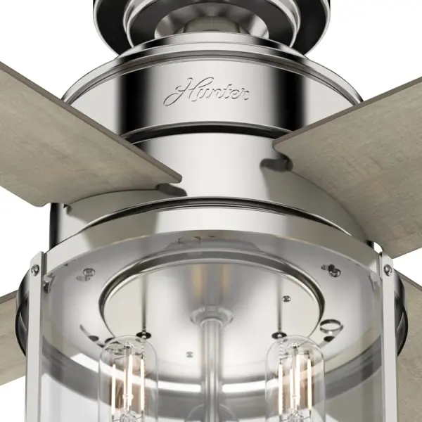 The Ceiling Fans by Hunter - Image 11